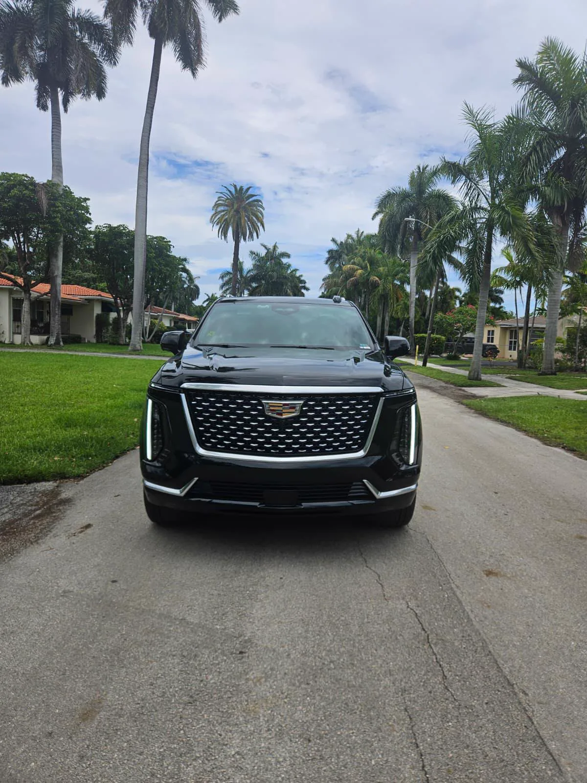 Black Cadillac Escalade front view on a residential Miami street with palm trees, ready for chauffeur service