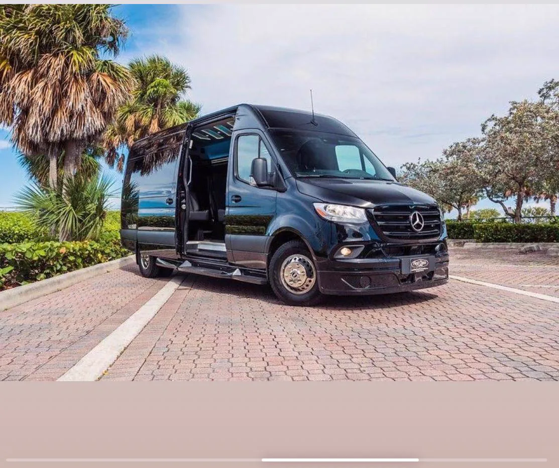 Black Mercedes-Benz Sprinter van with its side door open on brick paving, palm trees and the sea behind